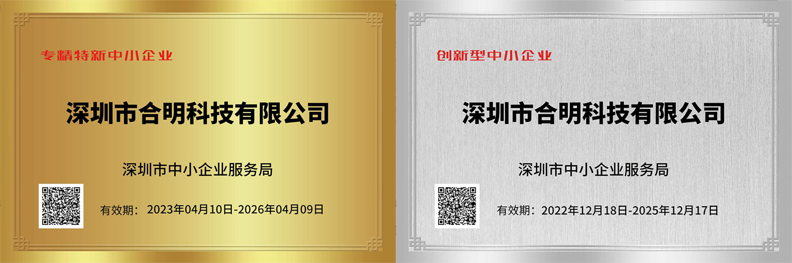 專精特新+創新型 專精特新+創新型