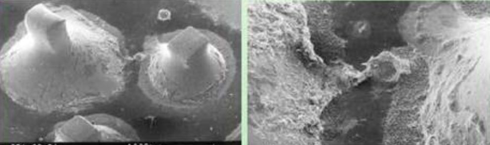 1677564960744301.png image.png