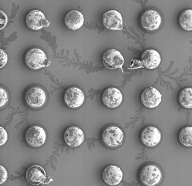 1686638565202598.jpg 助焊劑.jpg